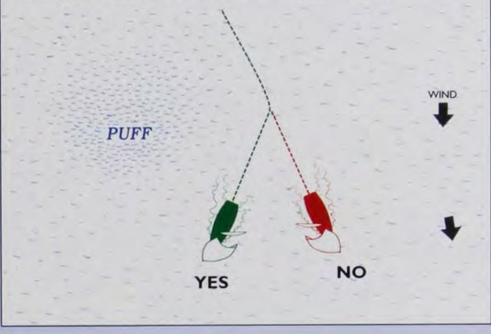 Sail for velocity before shifts: go for the puff (YES) rather than away from it (NO).