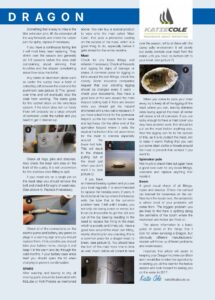 Article as printed in the original magazine